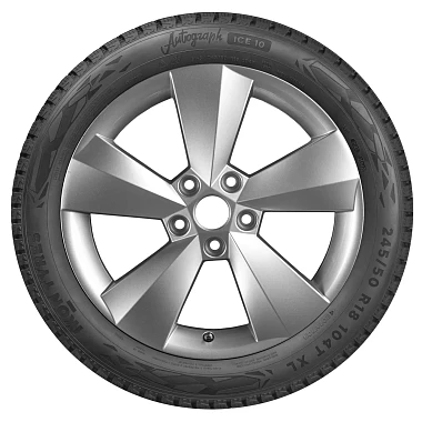 Шины Ikon Tyres Autograph Ice 10 205/60 R16 96T XL