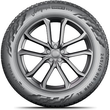 Шины Ikon Tyres Autograph Snow 5 SUV 235/60 R18 107R XL