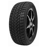 Delinte Winter WD1